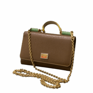 Dolce & Gabbana Multicolor Von Bag