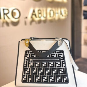 Fendi Bicolor Runway Bag