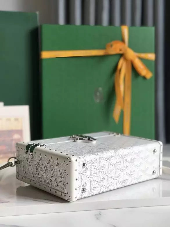 Goyard Cassette Trunk Bag - Repbags.ru - Image 8