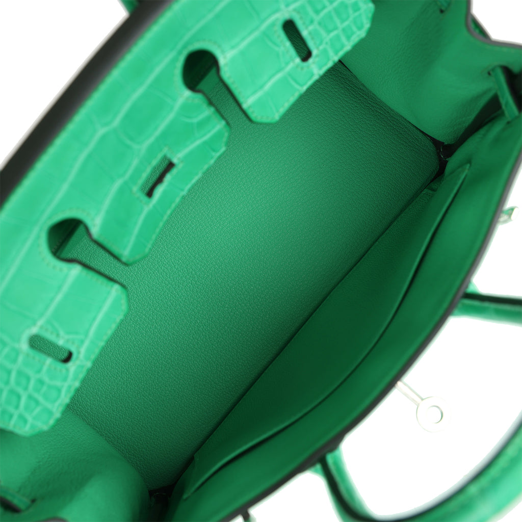 Hermes Birkin 25 Vert Comics Togo and Matte Alligator Touch Palladium Hardware - Image 9