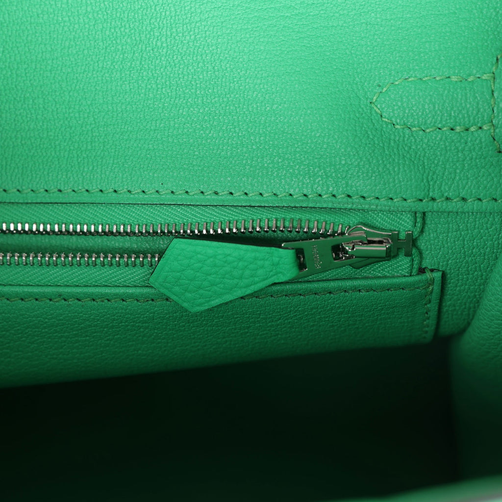 Hermes Birkin 25 Vert Comics Togo and Matte Alligator Touch Palladium Hardware - Image 10