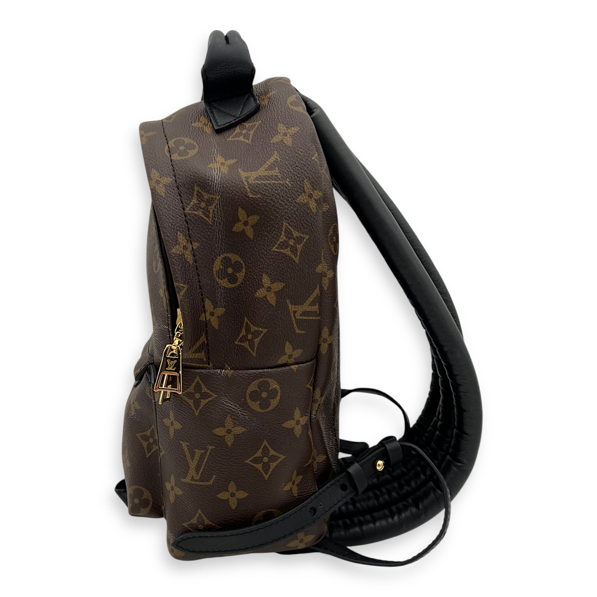 Palm Springs PM Brown Backpack in Monogram Coated Canvas, Gold hardware - Image 3