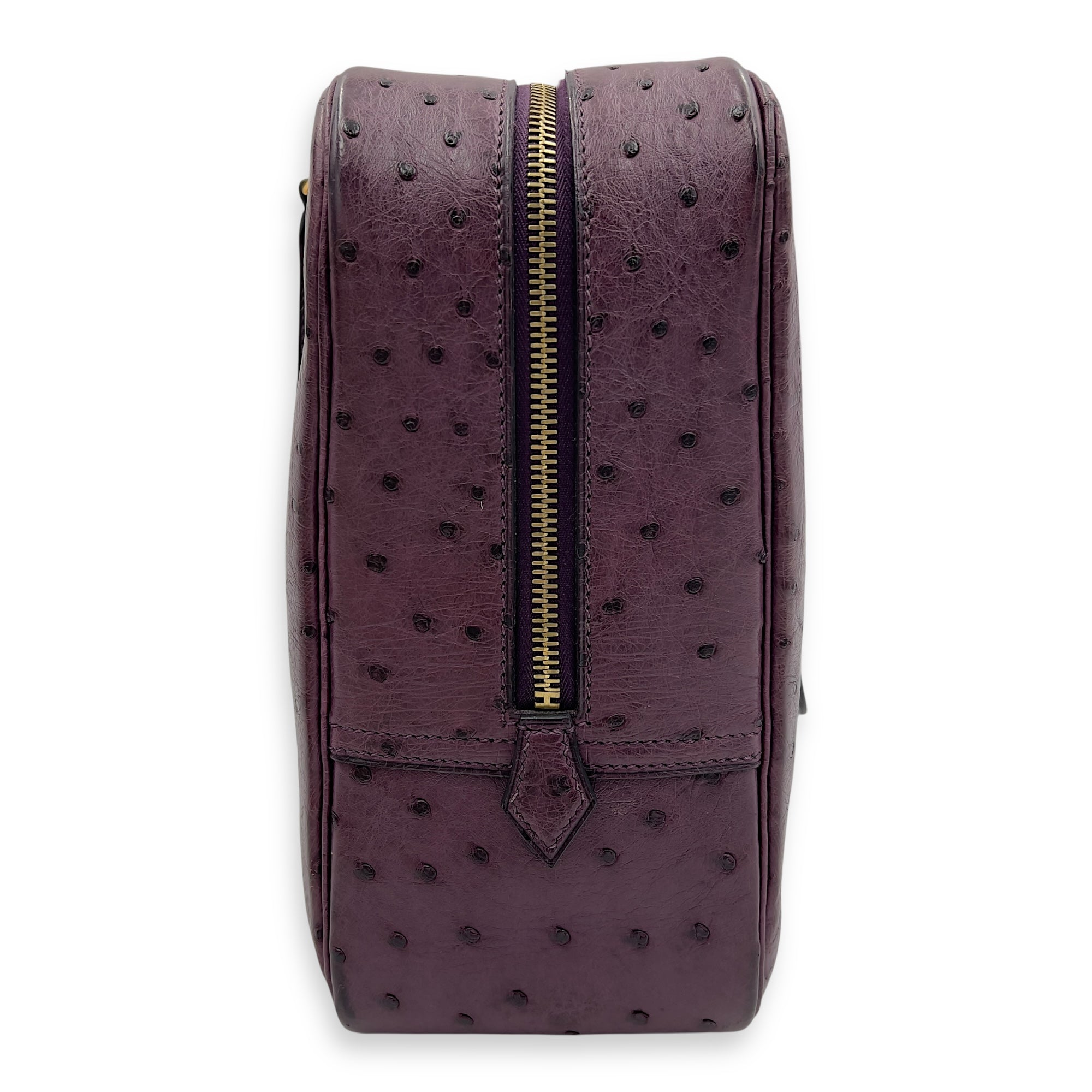 Plume 35 Purple Top Handle Bag in Ostrich, Gold hardware - Image 6