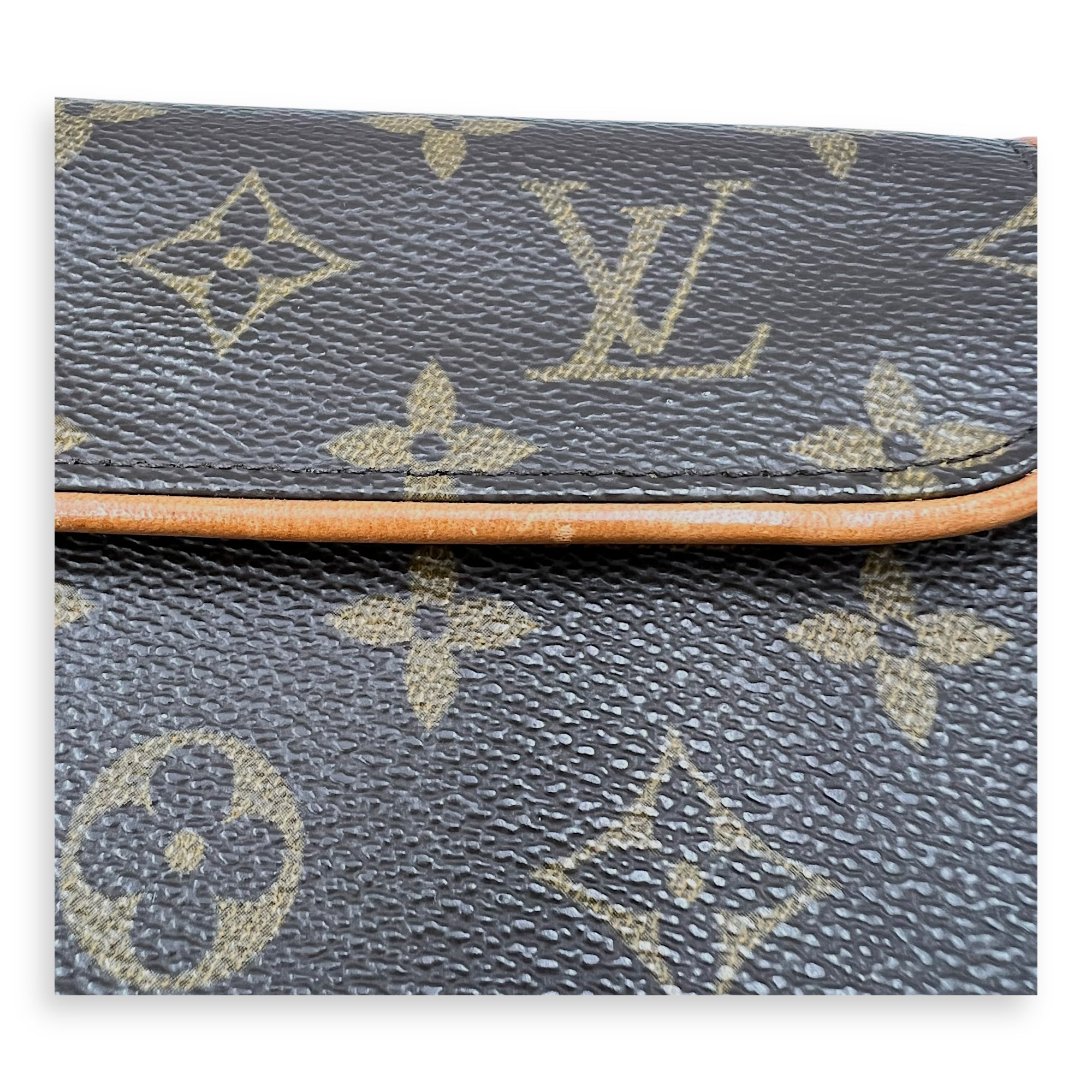 Florentine Belt Bag Brown in Monogram Coated Canvas, Gold hardware - Image 9