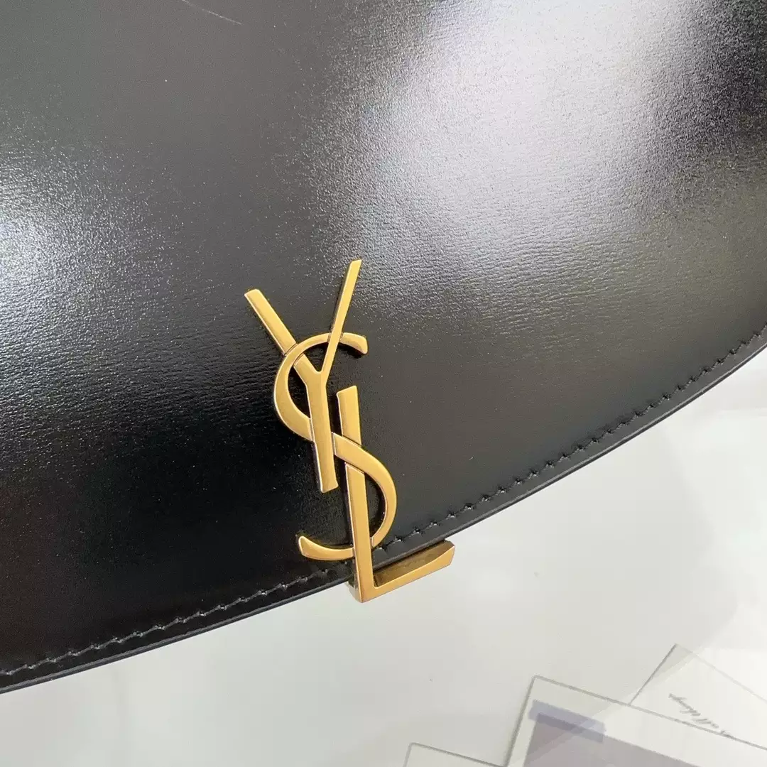 Voltaire in Black Box Saint Laurent - YB063 - Repbags.ru - Image 6