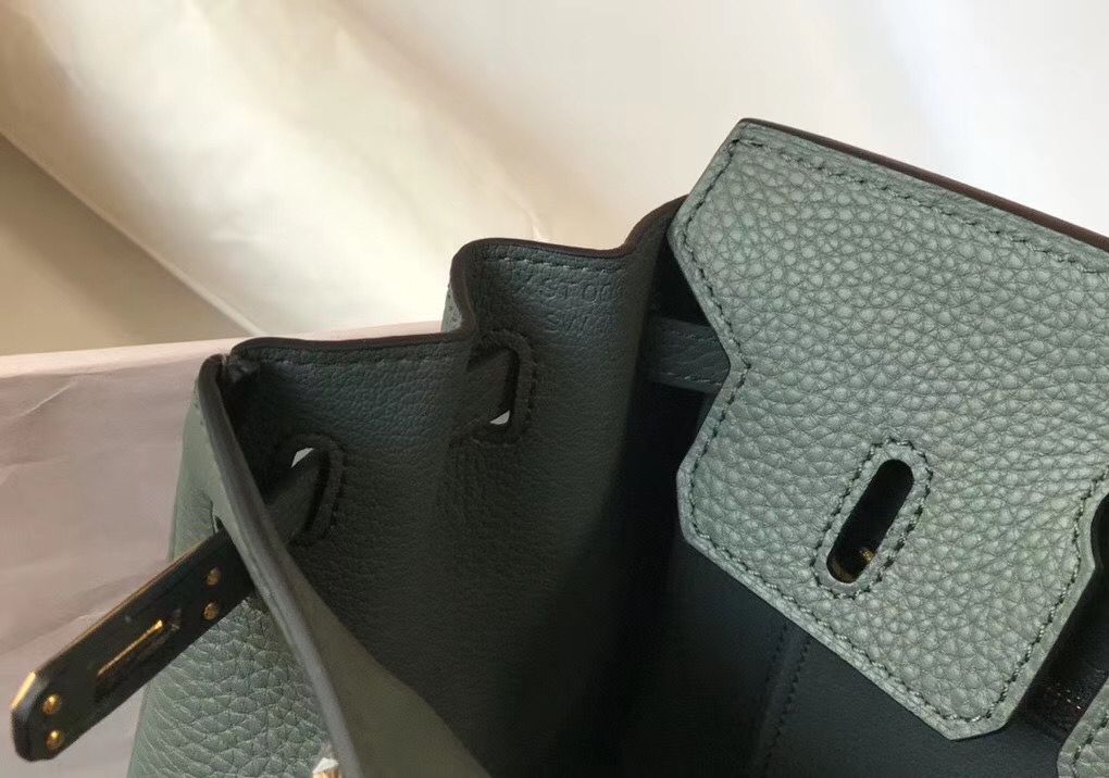Hermes Birkin 25cm Bag In Vert Amande Clemence Leather GHW - Image 8