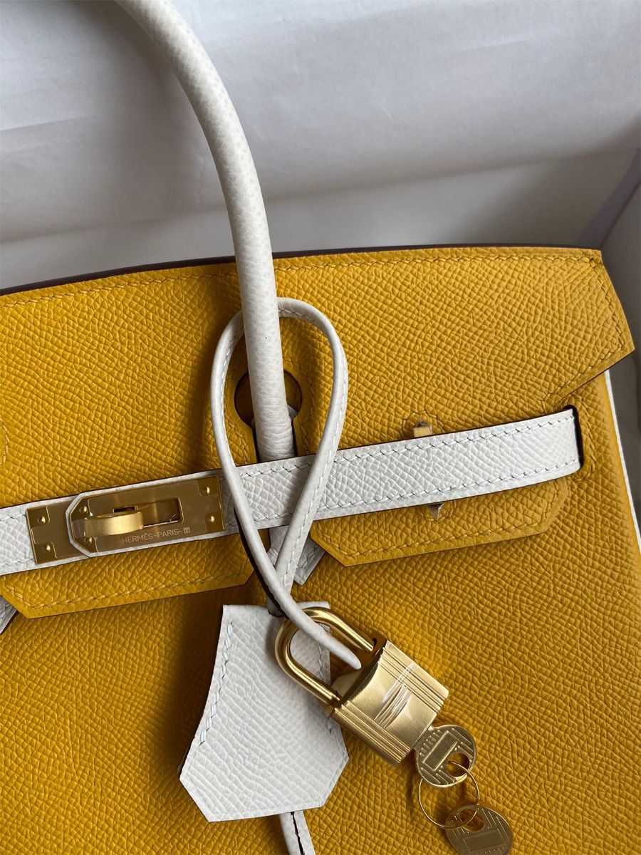 Hermes HSS Birkin 25 Bicolor Bag in Jaune d'or and Craie Epsom Calfskin - Image 5