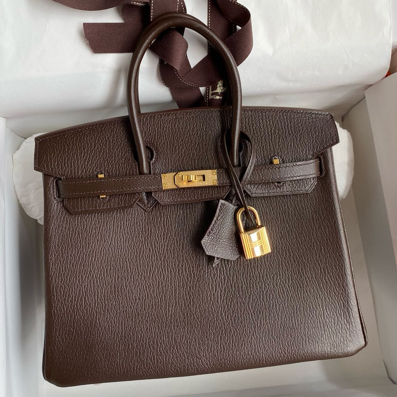 Hermes Birkin 25 Retourne Handmade Bag in Ebene Chevre Mysore Goatskin