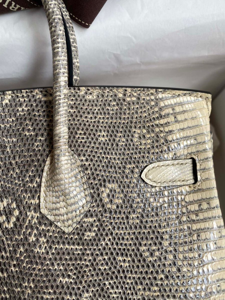 Hermes Birkin 25 Retourne Handmade Bag In Ombre Lizard Leather - Image 5