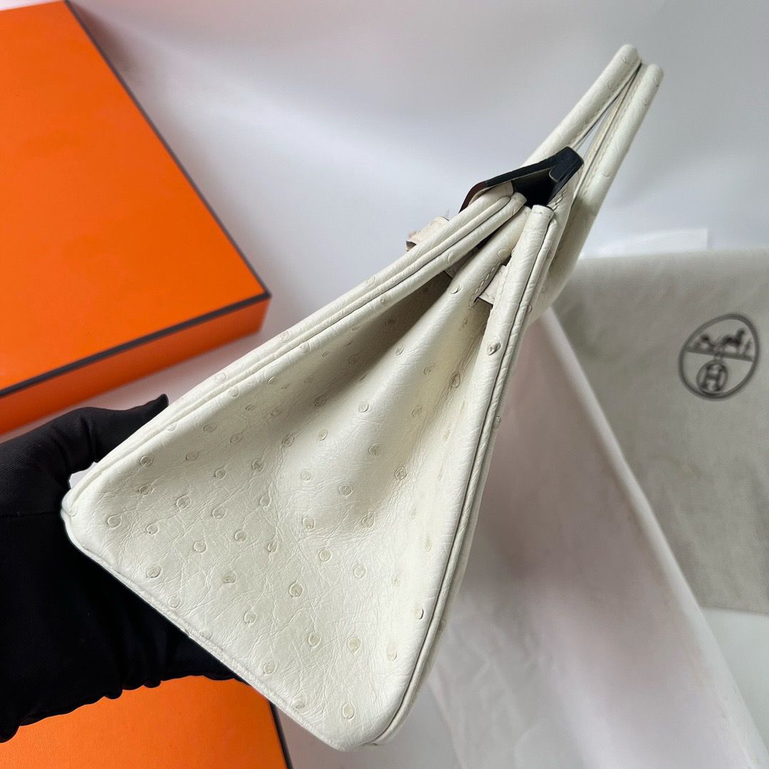 Hermes Birkin 25 Retourne Handmade Bag In Beton Ostrich Leather - Image 9