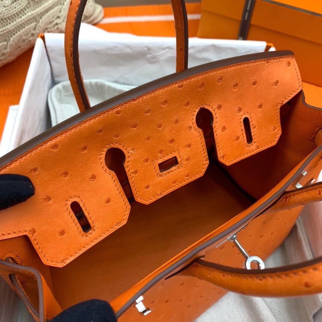 Hermes Birkin 25 Handmade Bag In Orange Ostrich Leather - Image 8