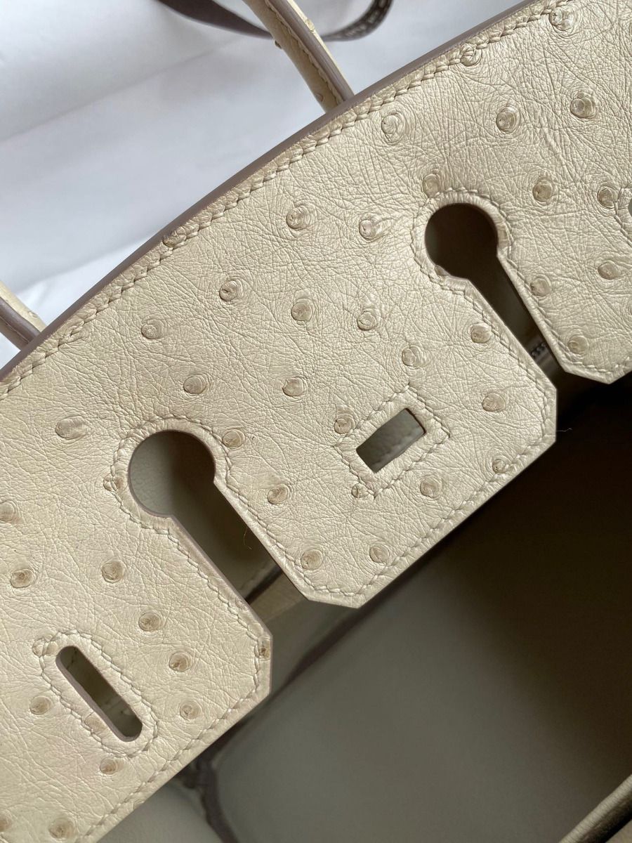 Hermes Birkin 25 Retourne Handmade Bag In Parchemin Ostrich Leather - Image 10