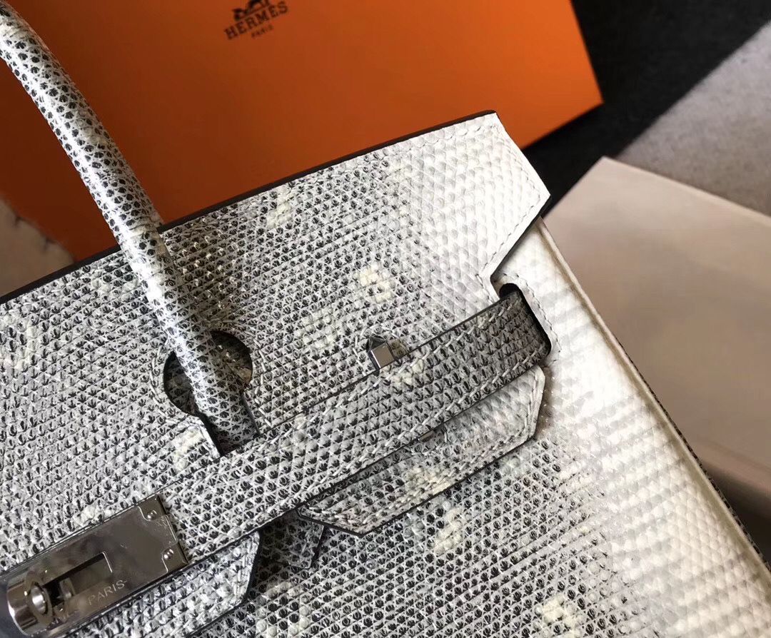 Hermes Birkin 30cm Bag In Ombre Embossed Natural Lizard - Image 6