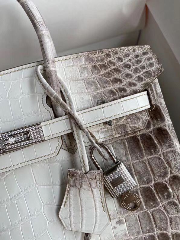 Hermes Diamond Birkin 25cm In Himalaya Niloticus Crocodile Skin - Image 4