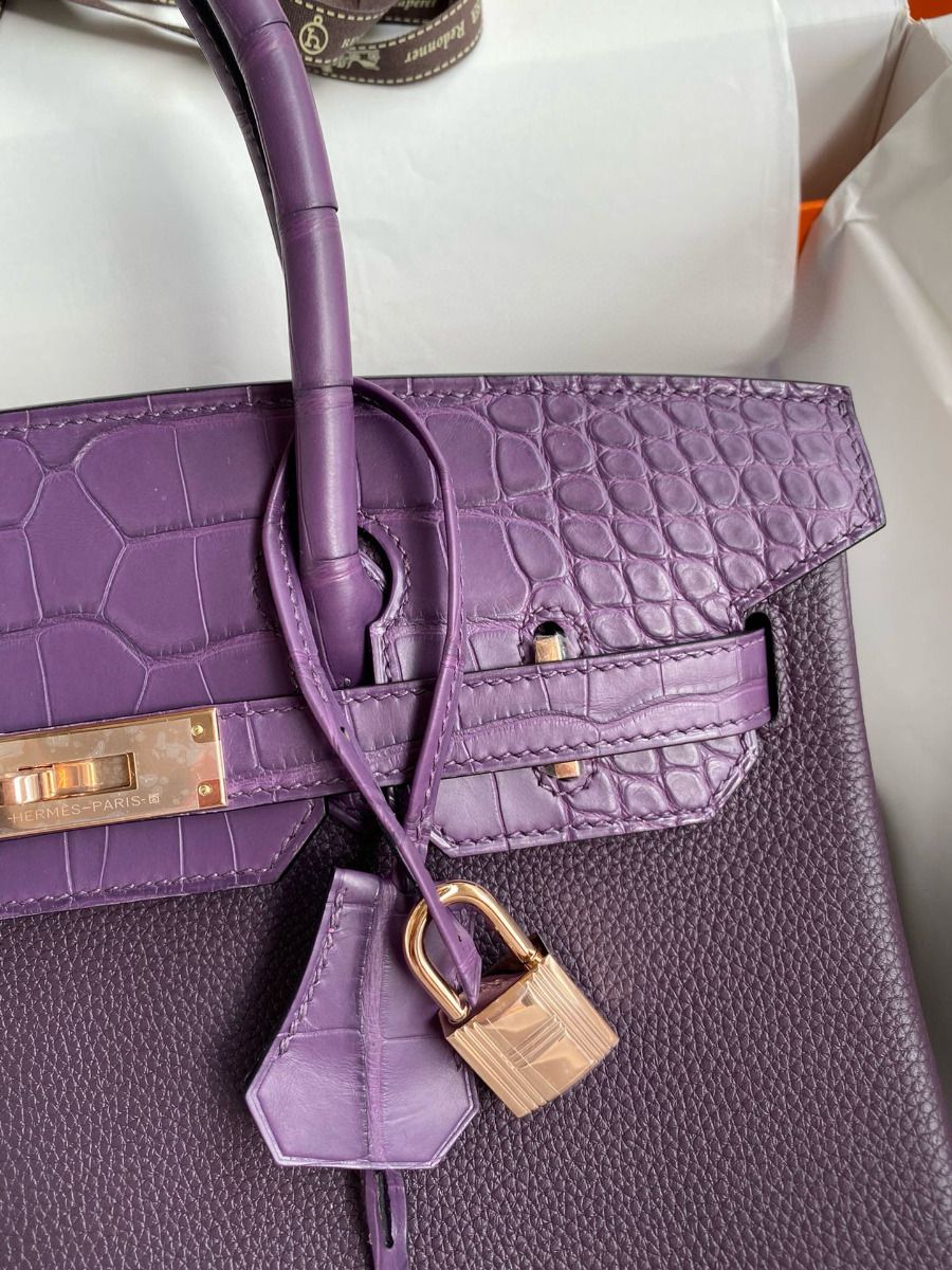 Hermes Touch Birkin 30 Bag in Raisin Clemence and Matte Alligator Leather - Image 4