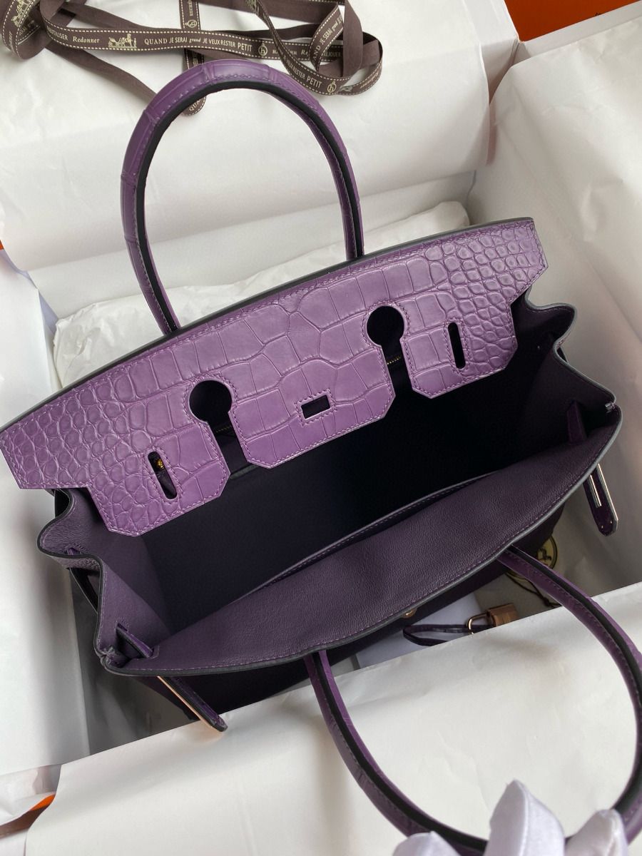 Hermes Touch Birkin 30 Bag in Raisin Clemence and Matte Alligator Leather - Image 9
