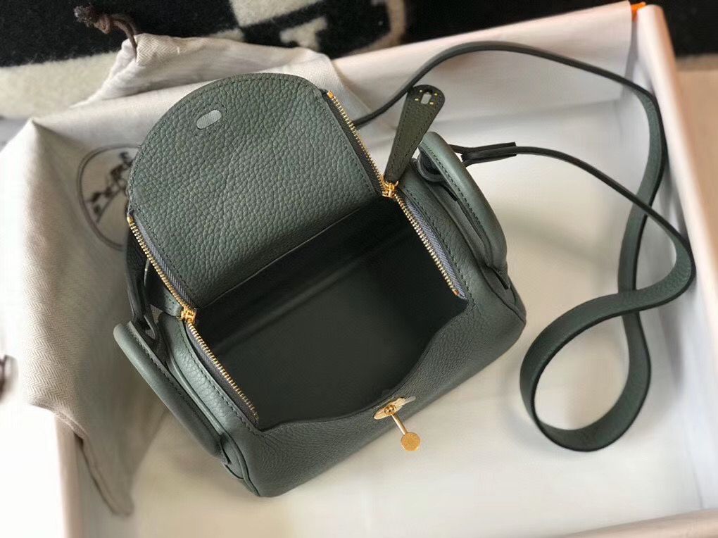 Hermes Lindy Mini Bag In Vert Amande Clemence Leather GHW - Image 9