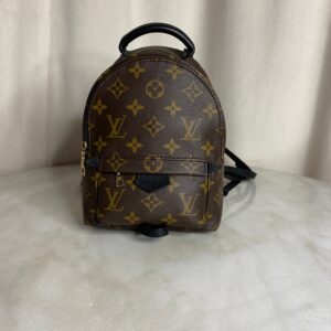 Louis Vuitton Monogram Palm Spring Mini Backpack Bag