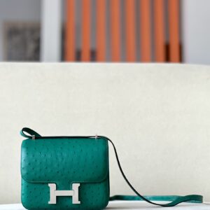 Constance 19 Ostrich Vert Vertigo (U4) Palladium Hardware